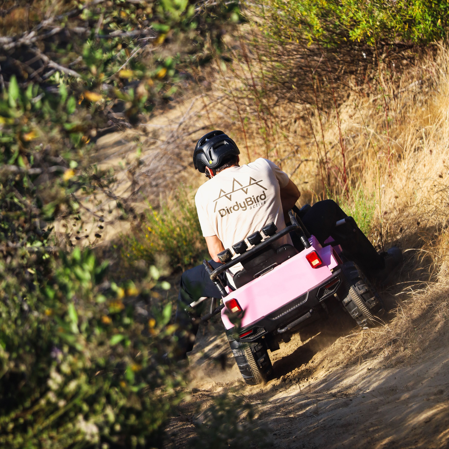 DirdyBird Logo Tee - Tan